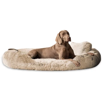 ® Orthopädisches Hundebett PAMELA Shaggy kuscheliger Langflor beige 1,75 m, 20 cm, 1,15 m Ein entspannter brauner Hund liegt auf einem plüschigen, cremefarbenen Hundebett mit einer weichen, fellartigen Textur.