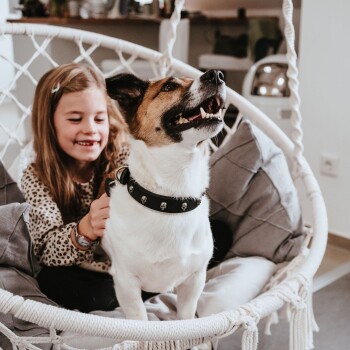 Ein glücklicher Hund mit einem schwarzen, mit Nieten besetzten Halsband sitzt in einem Hängesessel, während ein Kind ihn sanft streichelt. Der Hintergrund zeigt eine gemütliche Innenumgebung.