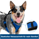 Hund mit einem blauen Geschirr, das einen elastischen Halsausschnitt für Komfort bietet, mit einer Nahaufnahme des verstellbaren Riemens des Geschirrs.