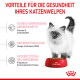 Weißes Kätzchen neben roter ROYAL CANIN Schüssel; deutsche Überschrift 'Vorteile für die Gesundheit Ihres Katzenwelpen' ist auf dem Bild sichtbar
