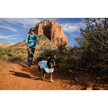 Eine Person in einem blauen Langarmshirt und schwarzen Hosen führt einen kleinen Hund auf einem Schotterweg, umgeben von roten Felsformationen und Grün.