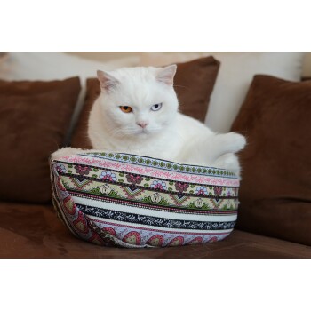Eine flauschige weiße Katze mit einem orangefarbenen und einem blauen Auge sitzt in einem bunten, gemusterten Haustierbett auf einem braunen Sofa.