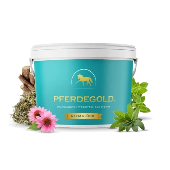 Ein türkisfarbener Eimer mit der Aufschrift "PFERDEGOLD" und dem Untertitel "Ergänzungsfuttermittel für Pferde" und "ATEMGLÜCK", umgeben von Kräutern und Blumen.