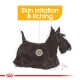 Illustration of a black dog with text "Skin irritation & itching" above it, highlighting a specific area on its body.