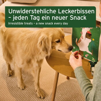 Eine Frau sitzt auf einem Sofa mit einem kleinen Hund und hält einen bunten Hundeleckerli-Adventskalender, der für Hunde beschriftet ist.