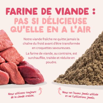 Morceaux de viande crue à côté de farine de viande en poudre ; titre « Farine de viande : pas aussi appétissante qu'elle en a l'air » et légendes sur l'utilisation de viande fraîche.