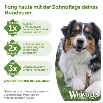 Dreifarbiger Hund kaut auf Zahnpflegesnack im Gras, deutscher Text 'Fang heute mit der Zahnpflege deines Hundes an' und Whimzees-Logo