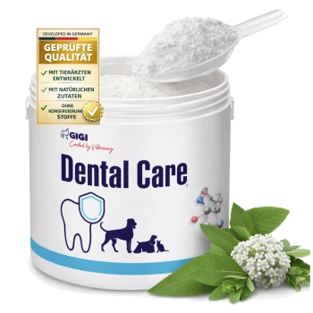 Weißer Behälter von GIGI Veterinary Dental Care Pulver für Haustiere, mit Zahn- und Hund-, Katzen-, Kaninchen-Symbolen.