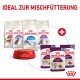 Bild von Royal Canin Katzenfutter: Beutel mit der Aufschrift "Fit", "Sterilised", "Indoor", "Sensible" und "Sensory", plus eine mit Kroketten gefüllte Schüssel.