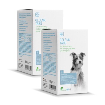 Schachtel Gelenk Tabs für Hunde mit einem grau-weißen Hund auf der Vorderseite. Text: "Zur Unterstützung des Bewegungsapparats und der Agilität."