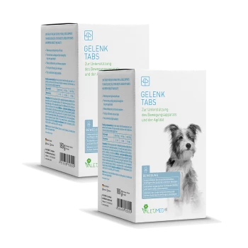 Schachtel Gelenk Tabs für Hunde mit einem grau-weißen Hund auf der Vorderseite. Text: "Zur Unterstützung des Bewegungsapparats und der Agilität."