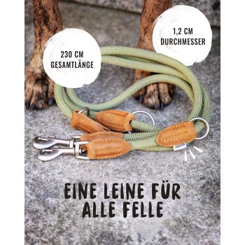 Eine 230 cm lange grüne Hundeleine mit Ledergriffen liegt auf Steinen, neben Hundepfoten. Text: "Eine Leine für alle Felle."