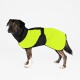 Ein Hund, der einen leuchtend gelben und schwarzen Regenmantel trägt, steht vor einem weißen Hintergrund. Der Mantel hat einen Schnallenriemen für eine sichere Passform.
