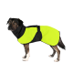 Ein Hund, der einen leuchtend gelben und schwarzen Regenmantel trägt, steht vor einem weißen Hintergrund. Der Mantel hat einen Schnallenriemen für eine sichere Passform.