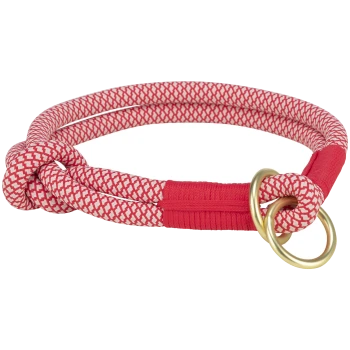 Rote und weiße geflochtene Hundehalsband mit Knotendesign und goldenen Metallringen.