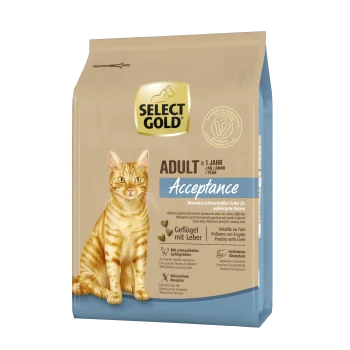 Gold cat food bag with a golden tabby cat. Text reads "ADULT > 1 Jahr / Year" and "Acceptance," for picky eaters.