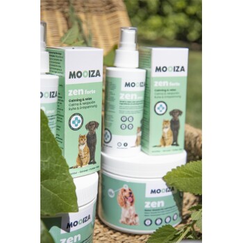 Mooiza Zen Haustierberuhigungsprodukte in Flaschen, beschriftet mit 'zen forte' und 'zen,' mit Hund- und Katzenbildern auf einem natürlichen Hintergrund.