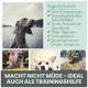 Ein großer Hund am See mit kleineren Hunden. Der Text betont die Vorteile für gestresste Hunde: "Macht nicht müde - ideal als Trainingshilfe."