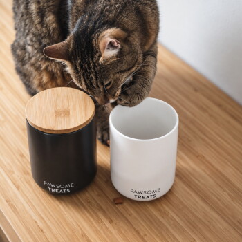 Ein eleganter schwarzer Behälter mit der Aufschrift "PAWSOME TREATS" steht auf einer Holzoberfläche, begleitet von einem Holzdeckel, mit einer grünen Pflanze im Hintergrund.