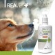 Nahaufnahme des Gesichts eines Hundes, der Dampf ausatmet, neben einer Flasche REAVET Husten Saft (Hustensaft) für Haustiere, 110ml.