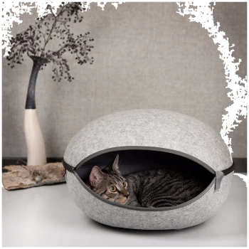 Ein graues Filz-Katzenbett mit einer getigerten Katze, die herausblickt, vor einem neutralen Hintergrund mit einer dekorativen Pflanze.