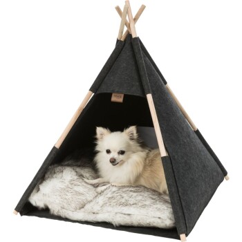 Tipi Telt Hund () Tipi Telt Hund