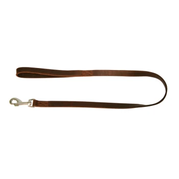 VEGAS Führleine braun 18mm / 200cm Braune Leder-Hundeleine mit einem silbernen Metallclip, vor einem weißen Hintergrund präsentiert.