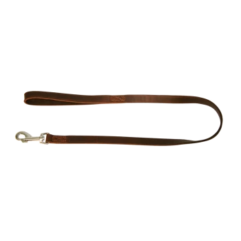 Braune Leder-Hundeleine mit einem silbernen Metallclip, vor einem weißen Hintergrund präsentiert.