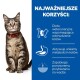 Tabby kot z czerwoną obrożą siedzi po lewej stronie niebieskiego tła, szczegółowo opisując korzyści diety weterynaryjnej dla zarządzania wagą kota.