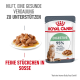 Royal Canin Digestive Katzenfutterbeutel mit einem Teller zarter Stücke in Sauce, fördert eine gesunde Verdauung und 95% Stuhlqualität in 10 Tagen.