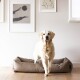 Ein Golden Retriever steht vor einem stilvollen beigen Hundebett, mit minimalistischer Kunst an der Wand hinter ihm.
