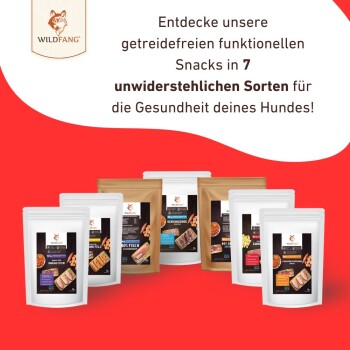 WILD FANG Haustiersnacks, die in verschiedenen Verpackungen auf einem roten Hintergrund präsentiert werden, bewerben getreidefreie funktionale Snacks für die Gesundheit von Hunden.