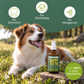 Ein verspielter Hund sitzt auf Gras neben einer Zahnpflegesprayflasche, mit Text: "Entfernt Zahnstein", "Eliminiert Plaque", "Neutralisiert schlechten Atem."