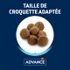 Croquettes de taille adaptée, présentées en petits morceaux ronds, sur fond bleu avec le texte 'TAILLE DE CROQUETTE ADAPTÉE' et le logo 'ADVANCE'.