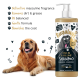 Golden Retriever neben Bugalugs "One in a Million Shampoo", das seinen maskulinen Duft und die sanfte, nährende Formel präsentiert.