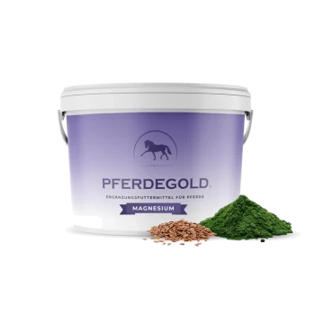 Weißer Behälter mit der Aufschrift 'PFERDEGOLD', Pferdelogo und 'MAGNESIUM', daneben grünes Pulver und Samen