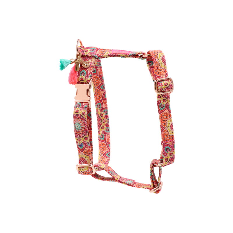 PELLINA - Hundegeschirr - Happy gold S