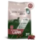 REAVET Hypoconcept Adult Hundefutterbeutel — 'Mit frischem Lamm', 3 kg; Hundesilhouette, Kroketten und rohes Lamm, Single-Protein, weizenfrei.