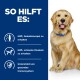 Golden Retriever vor einem weißen Hintergrund, mit Text: "Unterstützt Gelenkknorpel, schlanke Muskeln und ein gesundes Immunsystem."