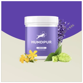 Lila Behälter von HundPur Nervensupplement mit einem weißen Deckel, umgeben von Lavendel, gelben Blumen und grünen Blättern.