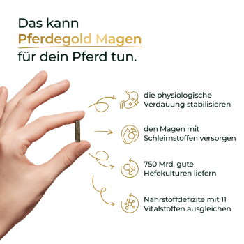Hand hält Pellet neben dem Text 'Pferdegold Magen' und Vorteilen: stabilisiert die Verdauung, Schleimstoffe, 750 Mrd. Hefen, 11 Nährstoffe.