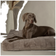 Ein schlanker grauer Hund, der auf einem plüschigen, quadratischen Hundebett ruht, mit einer dekorativen Vase und getrockneten Pflanzen im Hintergrund.