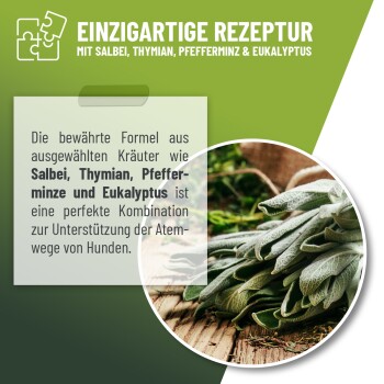 Bild eines Kräuterprodukts für Hunde mit Salbei, Thymian, Pfefferminze und Eukalyptus. Der Text hebt seine einzigartige Formel zur Unterstützung der Atemwege hervor.