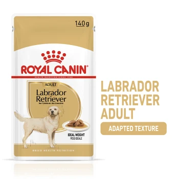 Royal Canin Labrador Retriever Adult dog food, 140g, with yellow Labrador illustration and "Ideal Weight" and "Adapted Texture" text.