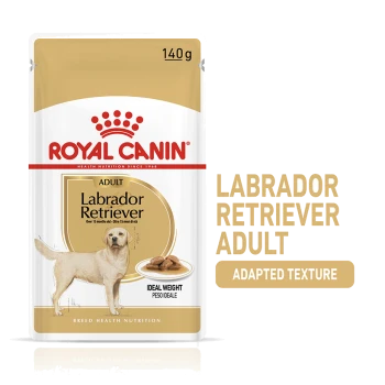 Royal Canin Labrador Retriever Adult dog food, 140g, with yellow Labrador illustration and "Ideal Weight" and "Adapted Texture" text.