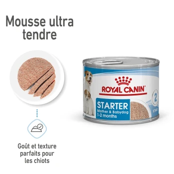 Boîte de nourriture pour chiens Royal Canin Starter pour mères et chiots, avec une mousse ultra-tendre, idéale pour les chiots de 1 à 2 mois.
