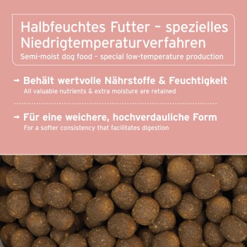 Eine Nahaufnahme eines Hundes, der sich in einem grasbewachsenen Feld die Lippen leckt, mit dem Text "Für alle Rassen geeignet" und "Für Adult, Senioren & magensensible Hunde."