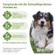 Hund kaut auf einem Zahnpflege-Kausnack im Gras; deutscher Text 'Fang heute mit der Zahnpflege...' und Whimzees-Logo.