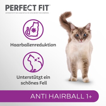 Eine flauschige Katze vor einem weißen Hintergrund bewirbt "Perfect Fit" Katzenfutter mit Symbolen für Haarballenreduzierung und Fellunterstützung.