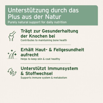 Lachsöl Kapseln 500 Stück